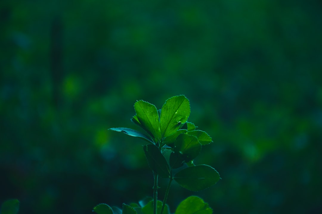 智慧照明改造方案:工业园区路灯物联网节能降本实践